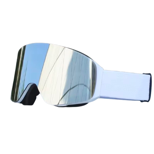 WINTR Ski goggles